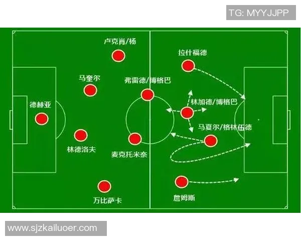 上海排球队的战术节奏分析与未来发展方向探讨